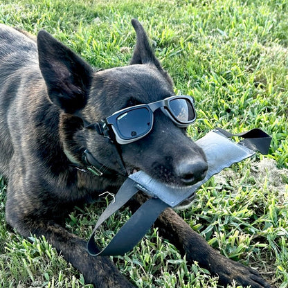 W1 Eye Defender Goggles