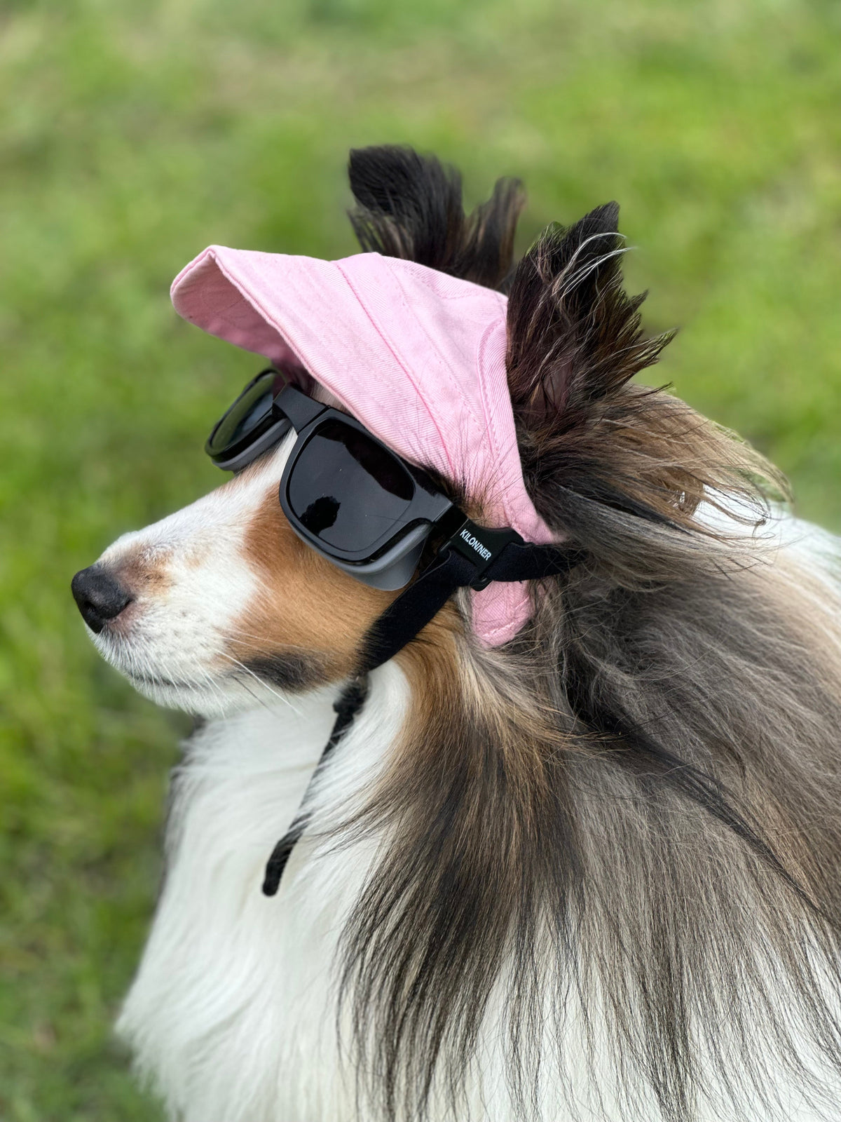 W1 Eye Defender Goggles