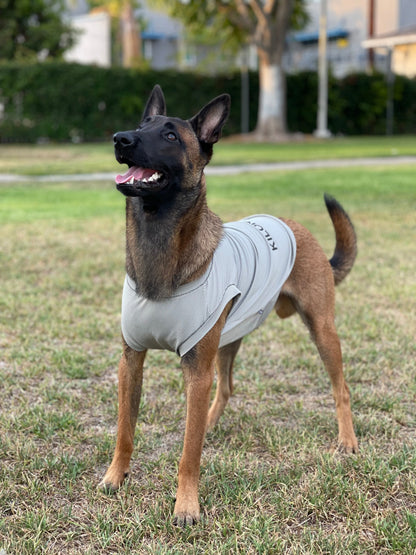 ACTIVE COOLING SHIRT