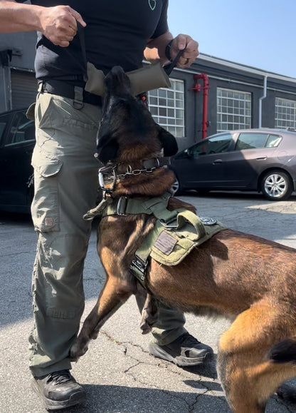 K9R - Kiloniner TUG-N-TRAIN Tug Toy