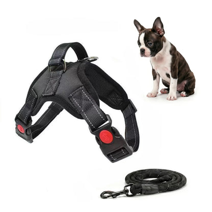 No Pull Durable Reflective No Choke Universal Dog Harness Leash Combo - 5FT Leash Included, Adjustable, Breathable, Easy On/Off Design for Safe Daily Walks, Puppy Harness, Harness Leash Set